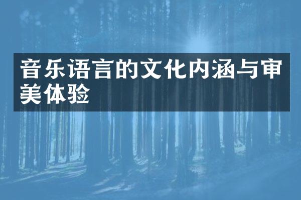 音乐语言的文化内涵与审美体验