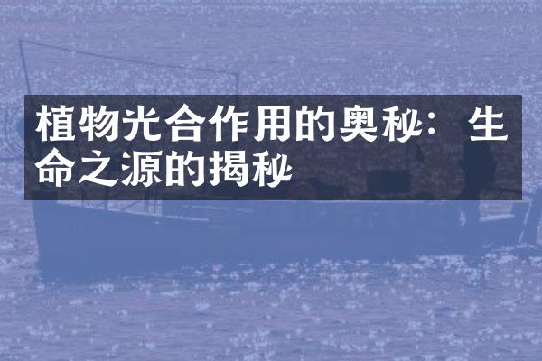 植物光合作用的奥秘：生命之源的揭秘