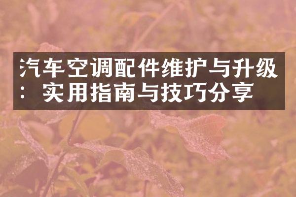 汽车空调配件维护与升级：实用指南与技巧分享