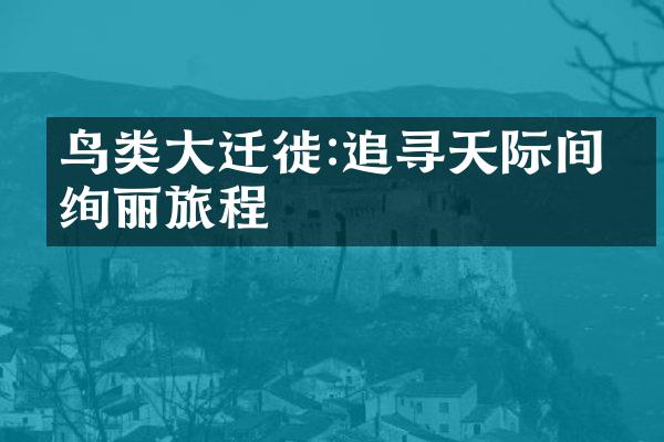 鸟类大迁徙:追寻天际间的绚丽旅程