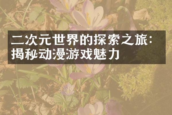 二次元世界的探索之旅：揭秘动漫游戏魅力