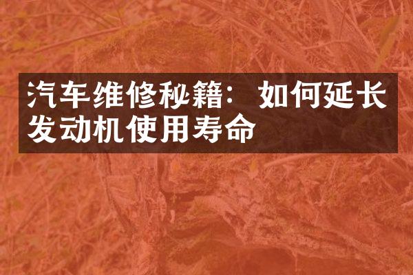汽车维修秘籍：如何延长发动机使用寿命