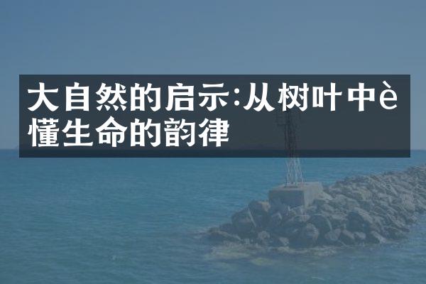 大自然的启示:从树叶中读懂生命的韵律