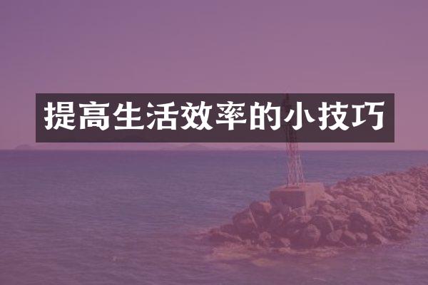 提高生活效率的小技巧