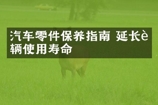 汽车零件保养指南 延长车辆使用寿命