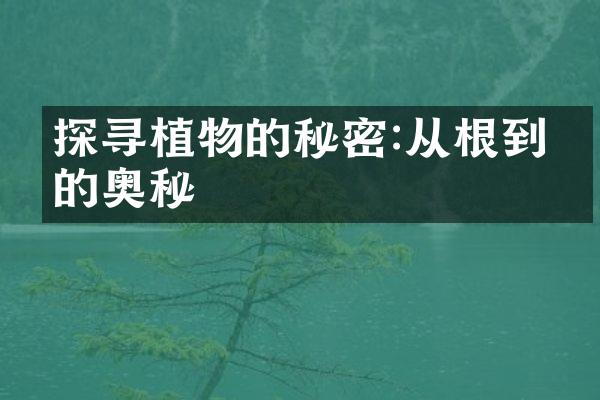 探寻植物的秘密:从根到叶的奥秘