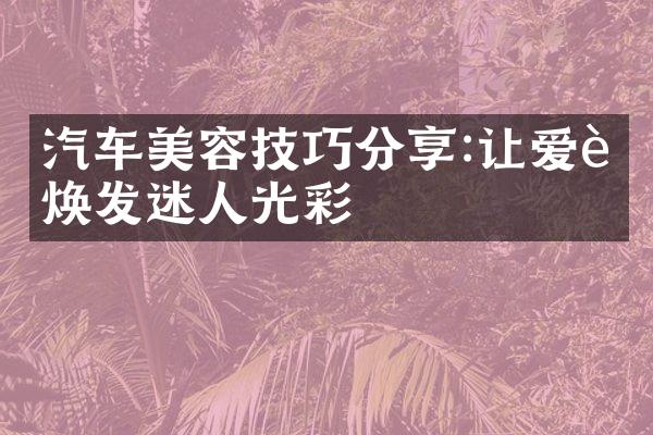 汽车美容技巧分享:让爱车焕发迷人光彩