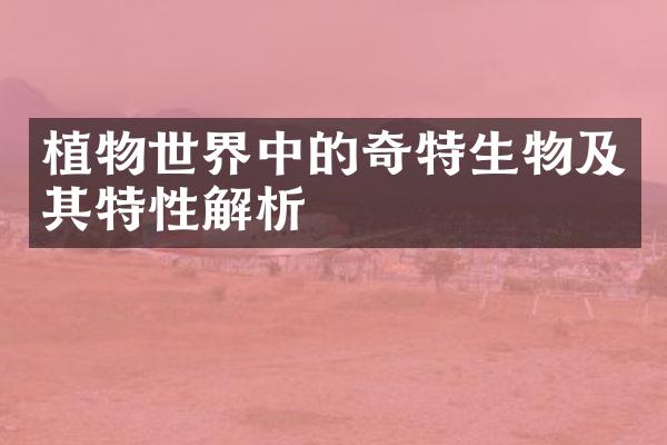 植物世界中的奇特生物及其特性解析