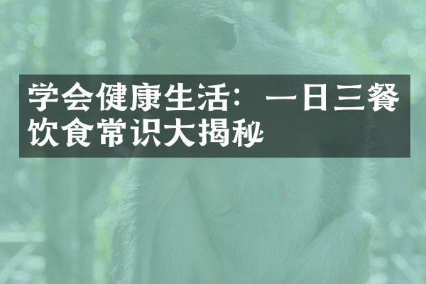 学会健康生活：一日三餐饮食常识大揭秘