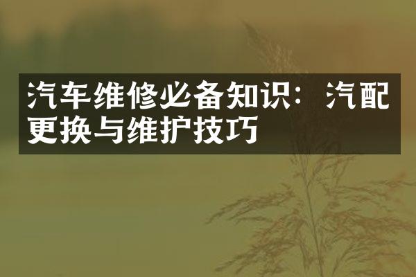 汽车维修必备知识：汽配更换与维护技巧