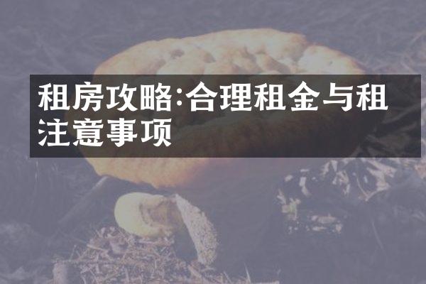 租房攻略:合理租金与租约注意事项
