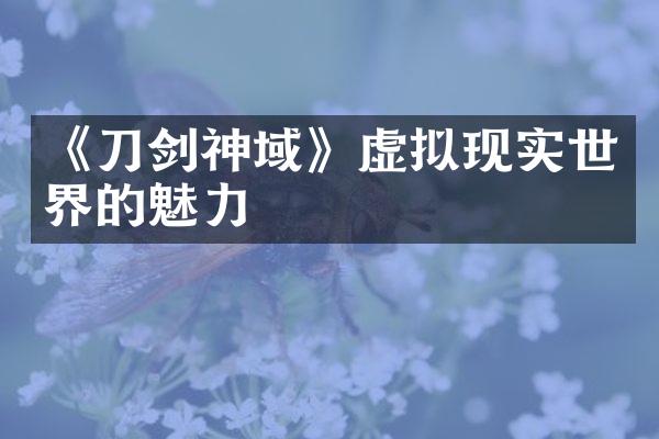 《刀剑神域》虚拟现实世界的魅力