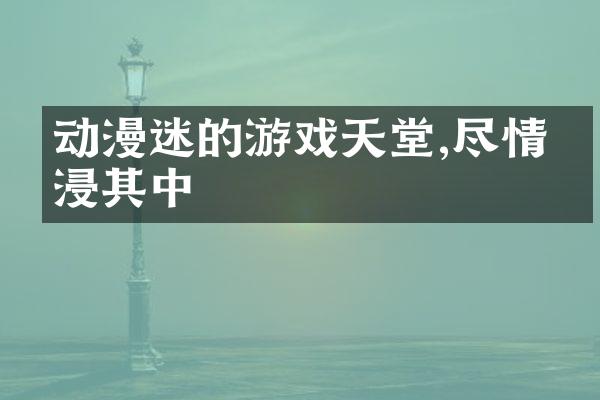 动漫迷的游戏天堂,尽情沉浸其中