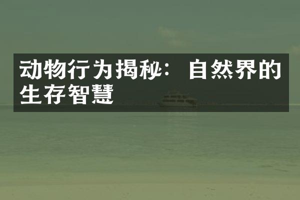 动物行为揭秘：自然界的生存智慧