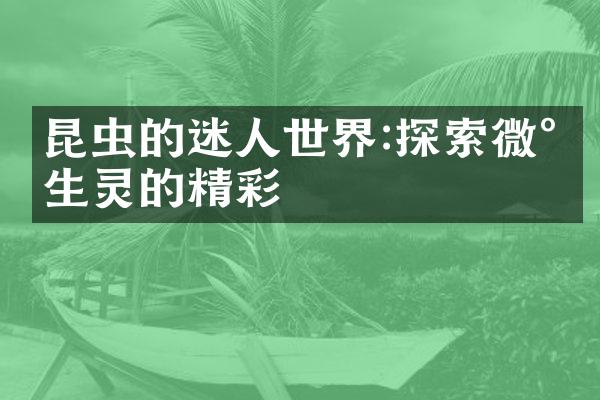 昆虫的迷人世界:探索微小生灵的精彩