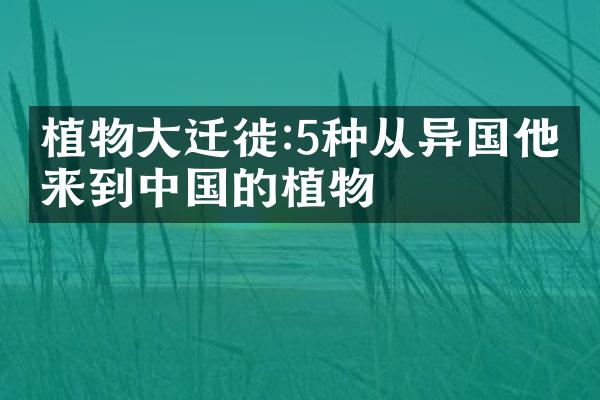 植物大迁徙:5种从异国他乡来到中国的植物