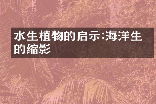 水生植物的启示:海洋生态的缩影