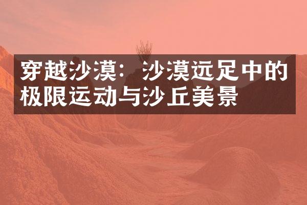 穿越沙漠：沙漠远足中的极限运动与沙丘美景