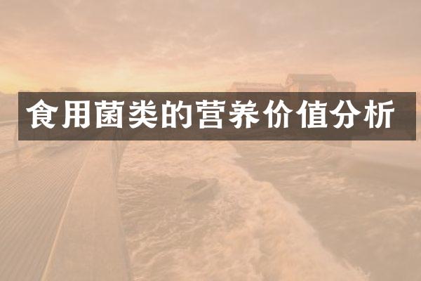 食用菌类的营养价值分析