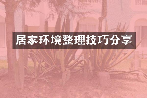 居家环境整理技巧分享