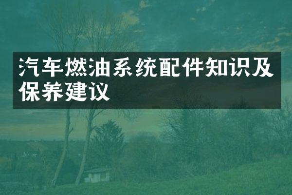 汽车燃油系统配件知识及保养建议