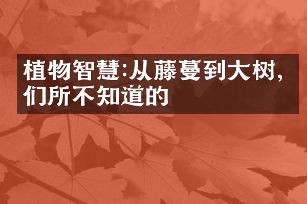 植物智慧:从藤蔓到大树,我们所不知道的