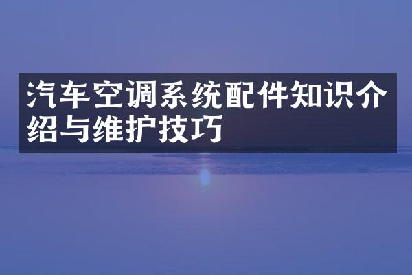 汽车空调系统配件知识介绍与维护技巧