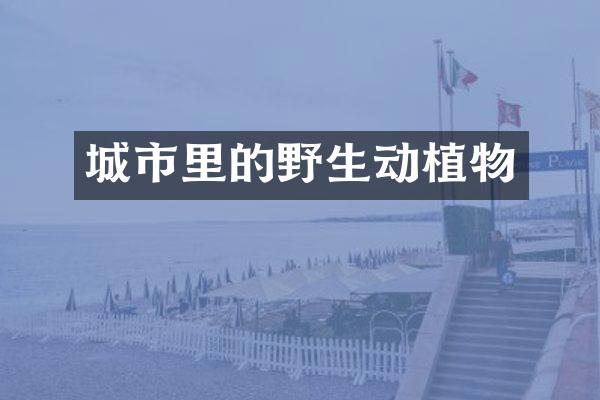 城市里的野生动植物
