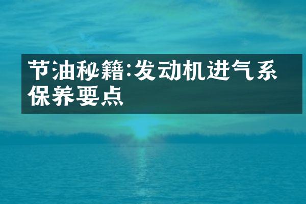节油秘籍:发动机进气系统保养要点