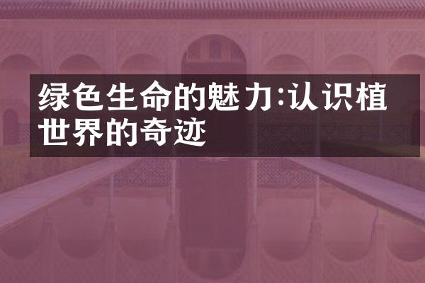 绿色生命的魅力:认识植物世界的奇迹