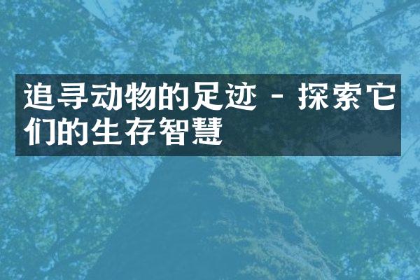 追寻动物的足迹 - 探索它们的生存智慧