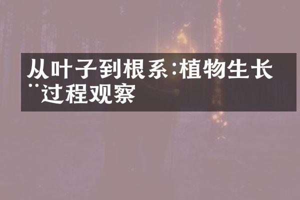 从叶子到根系:植物生长全过程观察