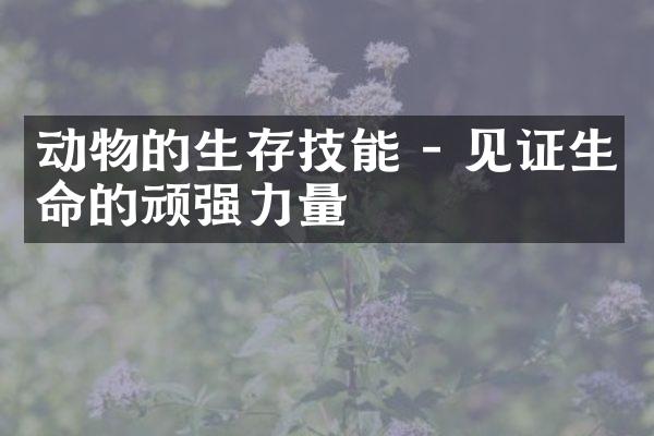 动物的生存技能 - 见证生命的顽强力量