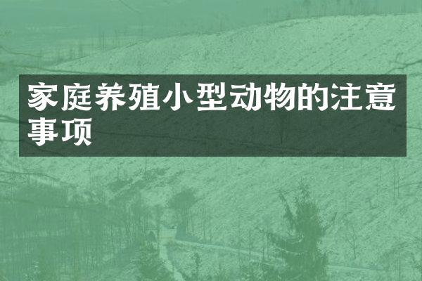 家庭养殖小型动物的注意事项