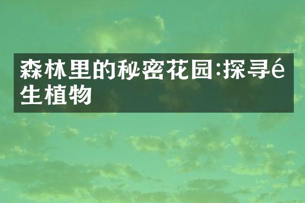 森林里的秘密花园:探寻野生植物