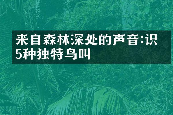 来自森林深处的声音:识别5种独特鸟叫