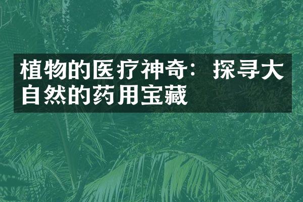 植物的医疗神奇：探寻大自然的药用宝藏