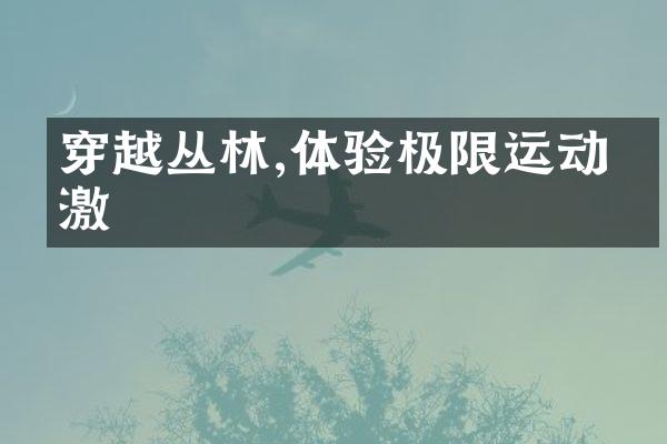 穿越丛林,体验极限运动刺激