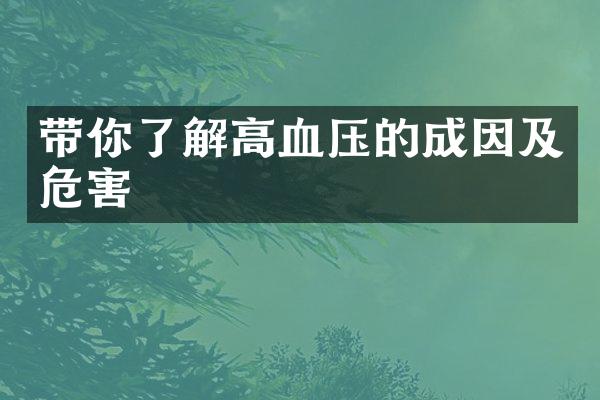 带你了解高血压的成因及危害