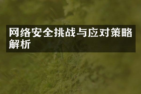 网络安全挑战与应对策略解析