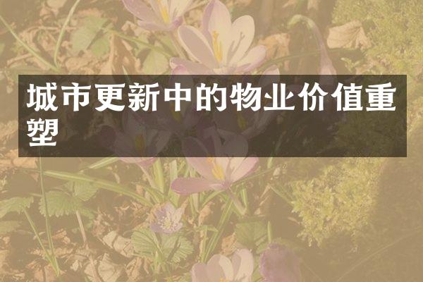 城市更新中的物业价值重塑