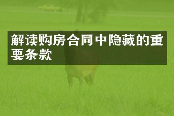 解读购房合同中隐藏的重要条款