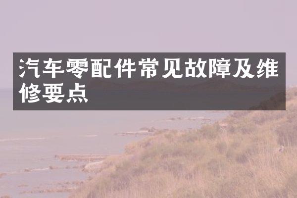 汽车零配件常见故障及维修要点