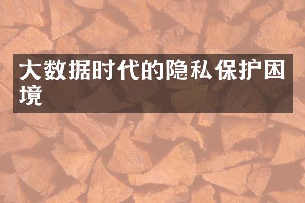 大数据时代的隐私保护困境