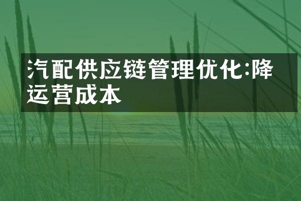 汽配供应链管理优化:降低运营成本