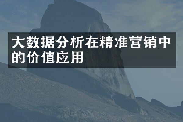大数据分析在精准营销中的价值应用