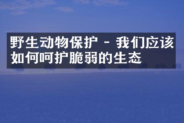 野生动物保护 - 我们应该如何呵护脆弱的生态