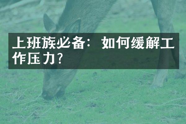 上班族必备：如何缓解工作压力？