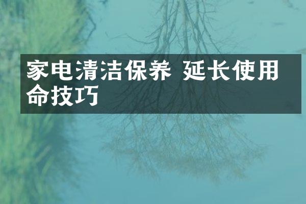 家电清洁保养 延长使用寿命技巧