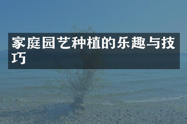 家庭园艺种植的乐趣与技巧
